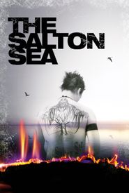 The Salton Sea