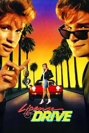 License to Drive