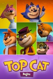 Top Cat Begins