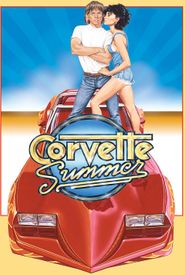 Corvette Summer