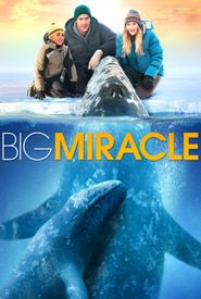 Big Miracle