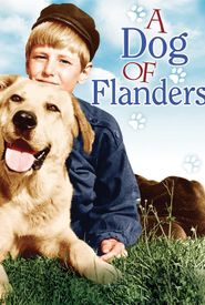 A Dog of Flanders