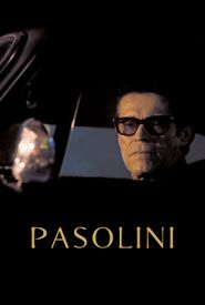 Pasolini