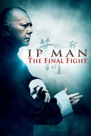 Ip Man: The Final Fight