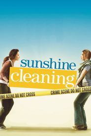 Sunshine Cleaning