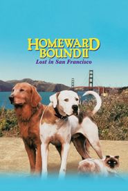 Homeward Bound II: Lost in San Francisco