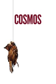 Cosmos