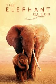 The Elephant Queen