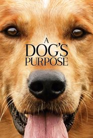 A Dog's Purpose