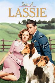 Son of Lassie