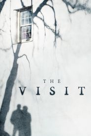 The Visit