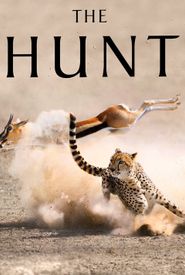 The Hunt