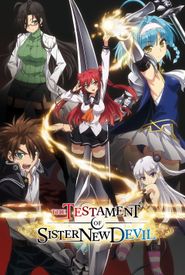 The Testament of Sister New Devil