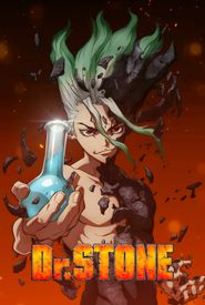 Dr. Stone