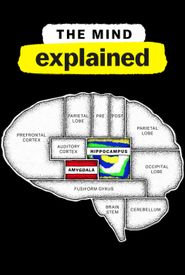 The Mind, Explained