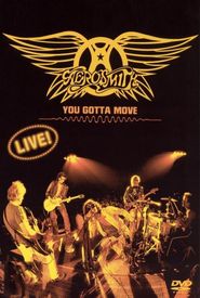 Aerosmith: You Gotta Move