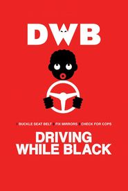 Driving While Black