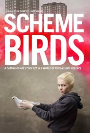 Scheme Birds