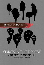 Spirits in the Forest