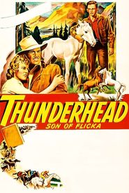 Thunderhead: Son of Flicka