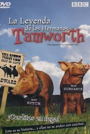 The Legend of the Tamworth Two