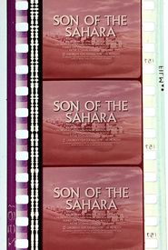 Son of the Sahara