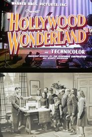 Hollywood Wonderland