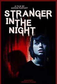 Stranger in the Night