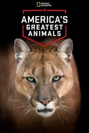 America's Greatest Animals