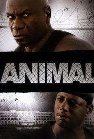 Animal