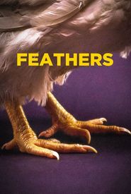 Feathers