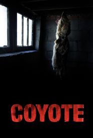 Coyote