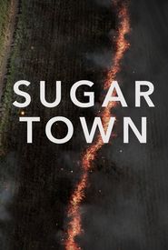 Sugar Town