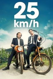 25 km/h