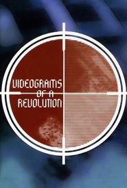 Videograms of a Revolution