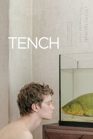 Tench