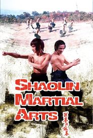 Shaolin Martial Arts