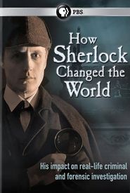 How Sherlock Changed the World