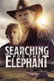 Searching for the Elephant