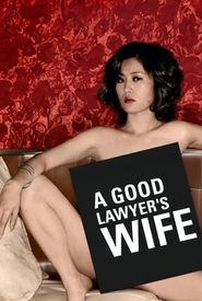 A Good Lawyer's Wife