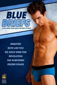 Blue Briefs