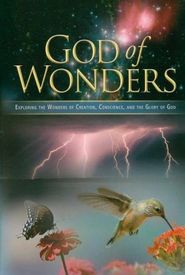 God of Wonders