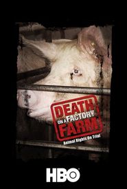 Death on a Factory Farm