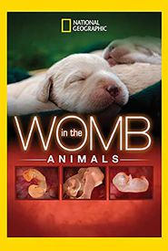 Animals in the Womb