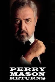 Perry Mason Returns