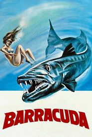 Barracuda