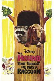 The Hound That Thought He Was a Raccoon