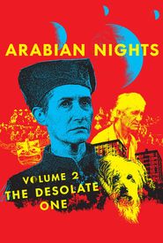 Arabian Nights: Volume 2 - The Desolate One