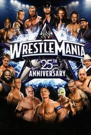 The 25th Anniversary of WrestleMania