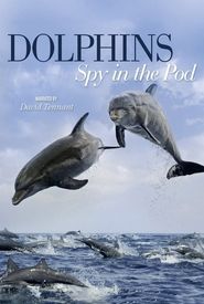 Dolphins: Spy in the Pod